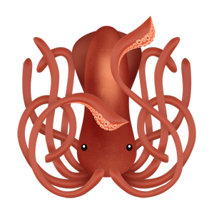Squid PNG-47204